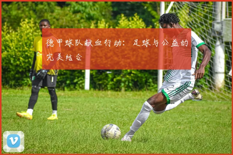 德甲球队献血行动：足球与公益的完美结合