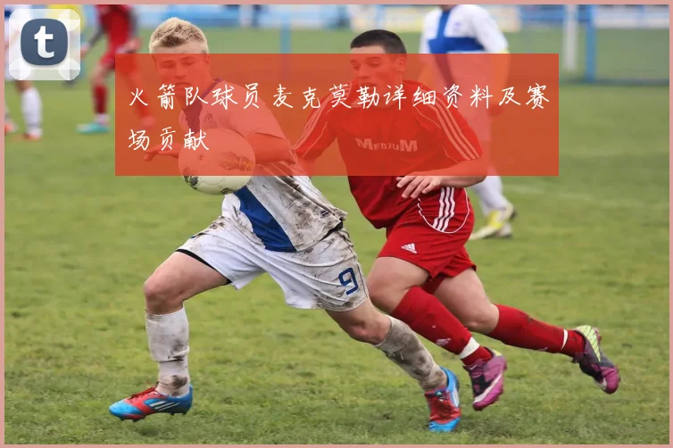 火箭队球员麦克莫勒详细资料及赛场贡献