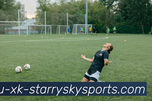 星空体育平台生态图