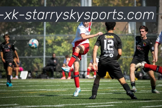 星空体育APP 封面图